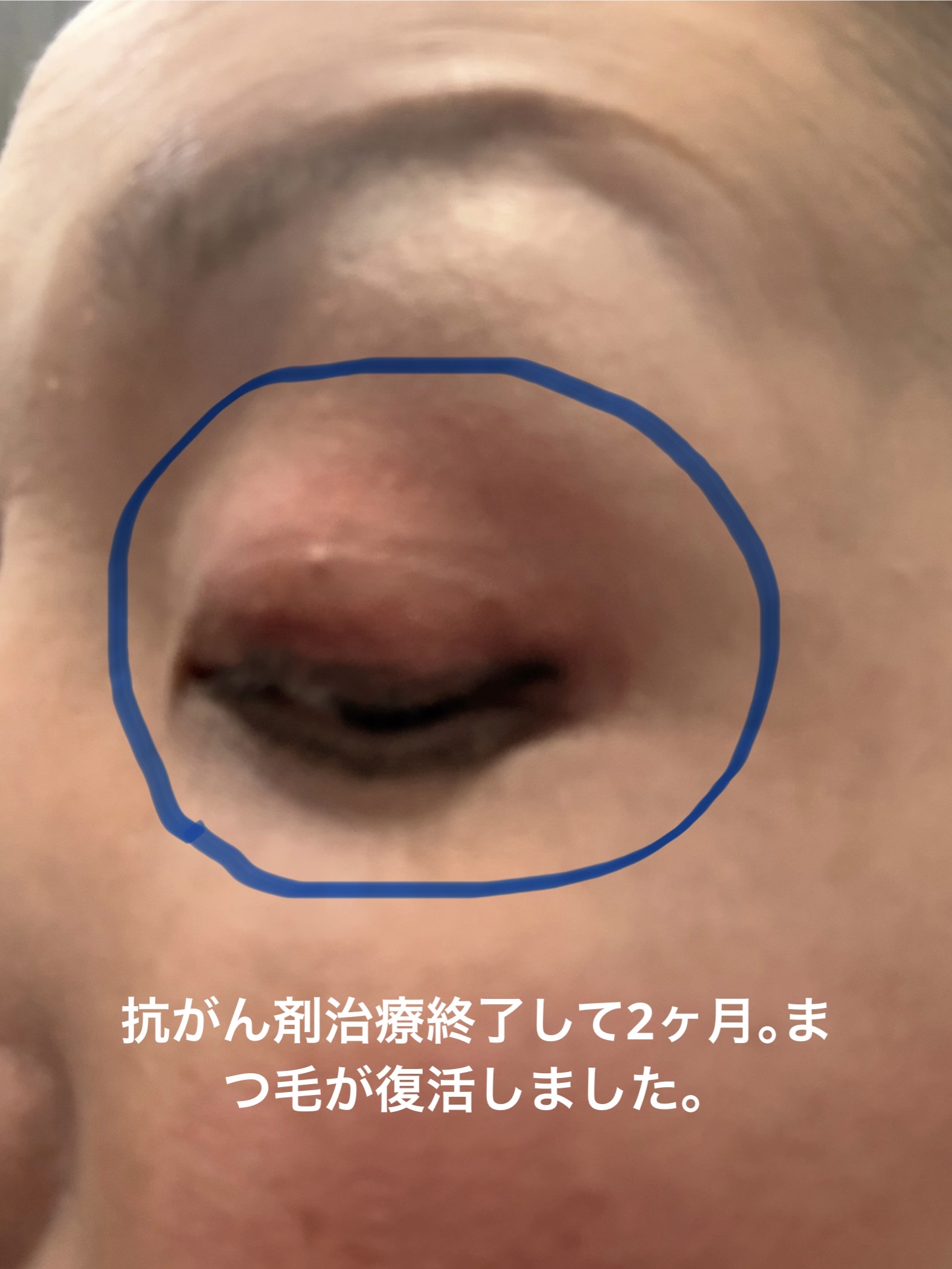 フェイス カラー(レフィル) P ソフト マジェンタ 261/shu uemura/パウダーチークを使ったクチコミ（1枚目）