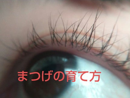 Castor oil/Heritage consumer products(海外)/ボディオイルを使ったクチコミ(1枚目)