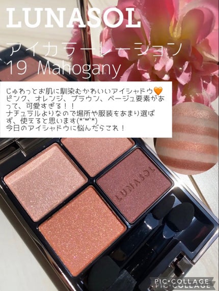 セラミドミルク/TOUT VERT/乳液を使ったクチコミ(6枚目)