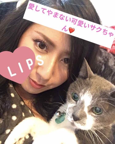 ちゃんみ🐈 on LIPS 「ただの雑談とにゃんこ🐈ﾟ＊.｡.＊ﾟ＊.｡.＊ﾟ＊.｡.＊ﾟ＊..」（2枚目）