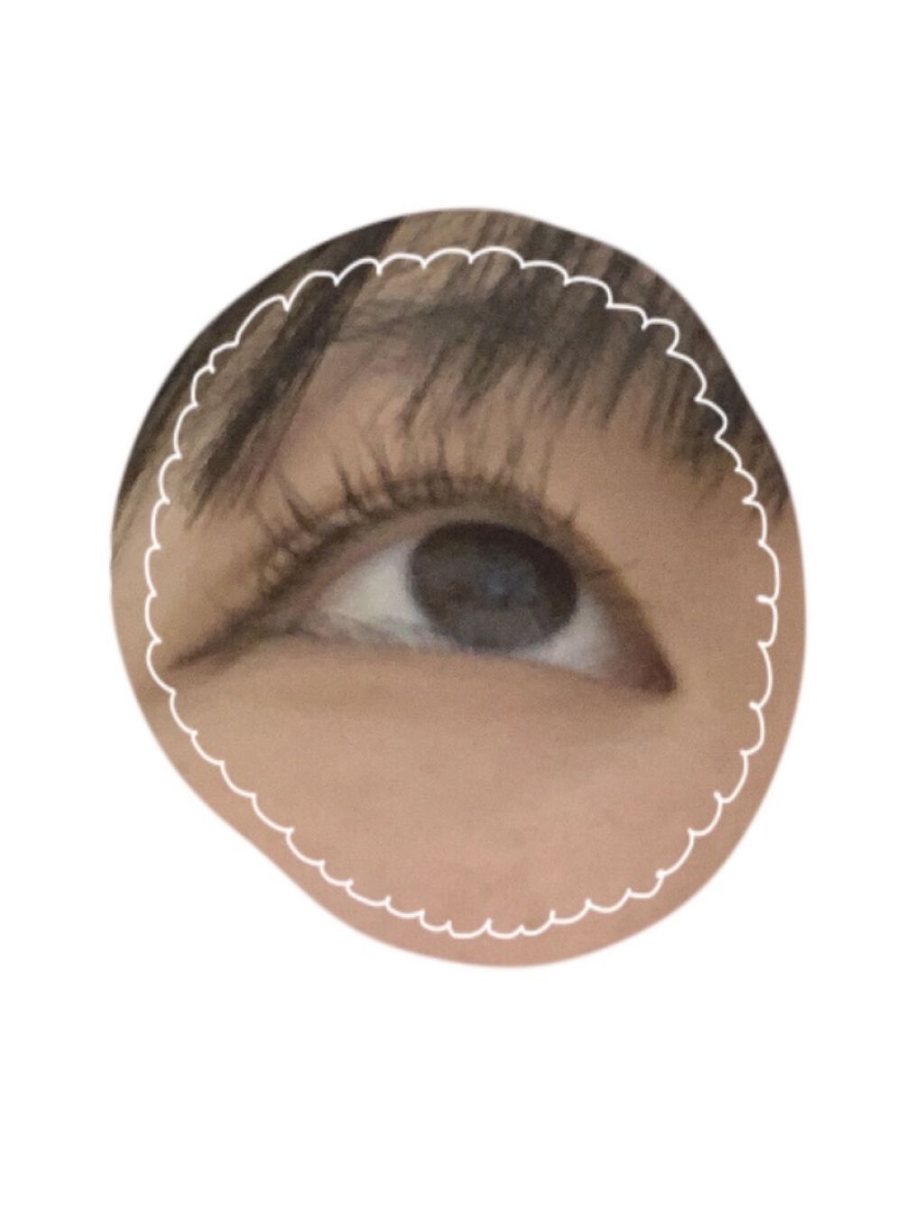 クイックラッシュカーラー/キャンメイク/マスカラ下地を使ったクチコミ（3枚目）