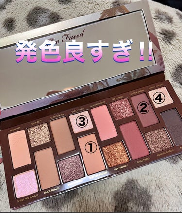 ボーンディスウェイ サンセット ストリップ アイシャドウ パレット/Too Faced/パウダーアイシャドウを使ったクチコミ（1枚目）