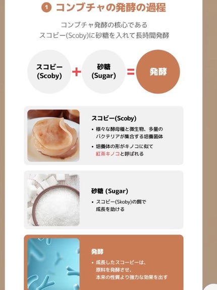 Kombuchaブラックティー90トリートメントエッセンス/ネイチャーリパブリック/化粧水を使ったクチコミ(7枚目)