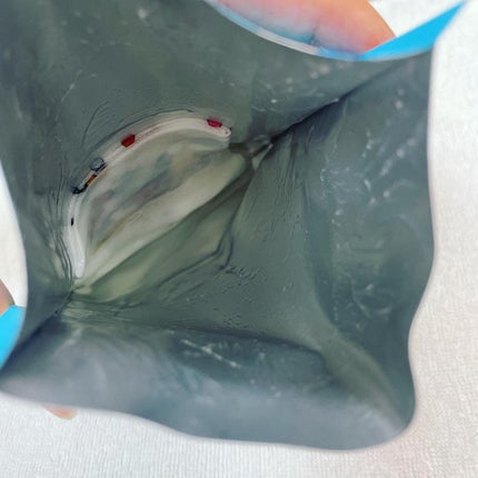 フォトピック モイスチャー ハイアケア マスク/JMsolution-japan edition-/シートマスク・パックを使ったクチコミ(3枚目)