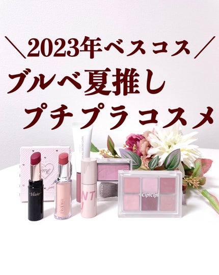 ネンマクフェイク ルージュ/Visée/口紅を使ったクチコミ(1枚目)