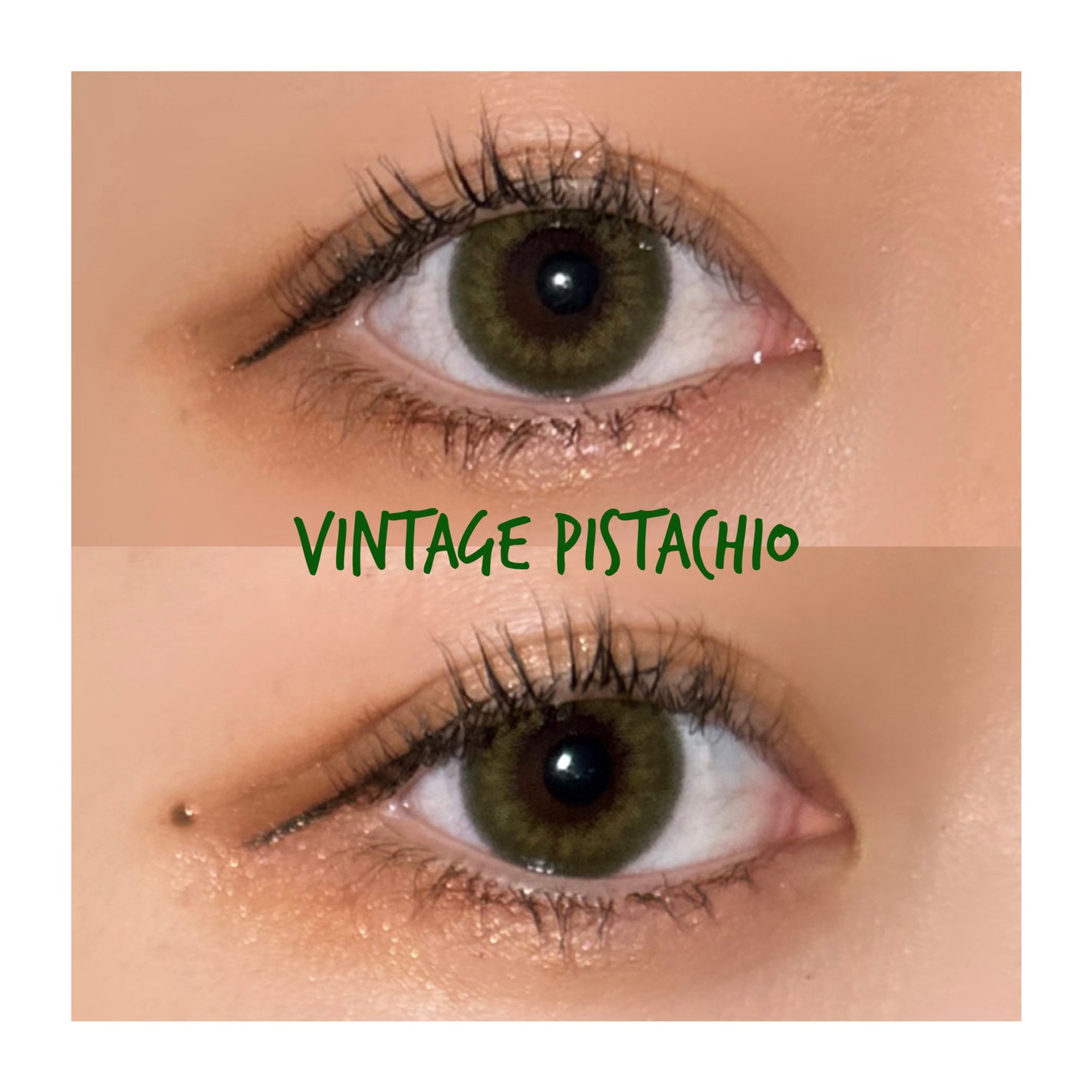 Angelcolor Bambi Series Vintage 1day/AngelColor/ワンデー(1DAY)カラコンを使ったクチコミ(1枚目)