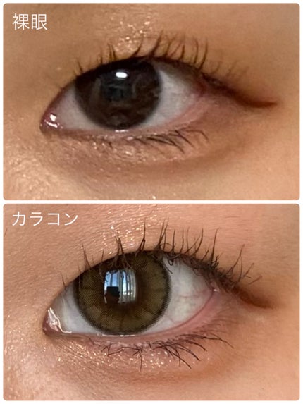 MOLAK 1day/MOLAK/ワンデー(1DAY)カラコンを使ったクチコミ(2枚目)