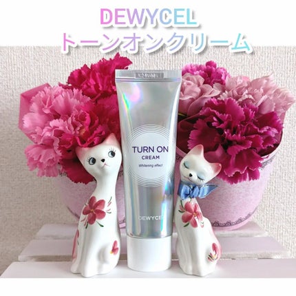 デュイセル ターンオンクリーム/DEWYCEL/フェイスクリームを使ったクチコミ(1枚目)