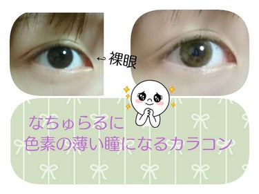 個人的にめちゃめちゃナチュラルに色素薄い瞳👀✨
になるカラコンだと思います。3枚目も目の画像あります。

アイディクトのウィンターリーフです。 
値段は税込み¥1825(10枚入り)です



⚠︎写真