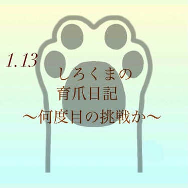 しろくま on LIPS 「こんにちは、しろくまです🧸順調に伸びてます😌💕ちょっと前に折れ..」（1枚目）