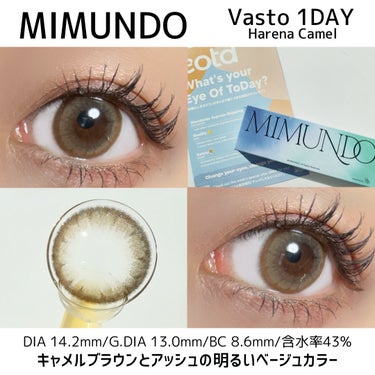 mimundo
Vasto
1day

color: Harena Camel

キャメルブラウンとアッシュの明るいベージュカラー

アッシュが効いたおしゃれな瞳に。


DIA 14.2mm
G.DI