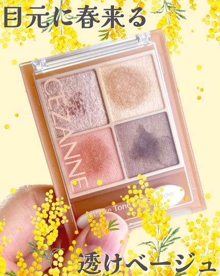 ベージュトーンアイシャドウ/CEZANNE/アイシャドウパレットを使ったクチコミ(1枚目)