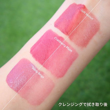 フィクシングティント/ETUDE/リップティントを使ったクチコミ(6枚目)