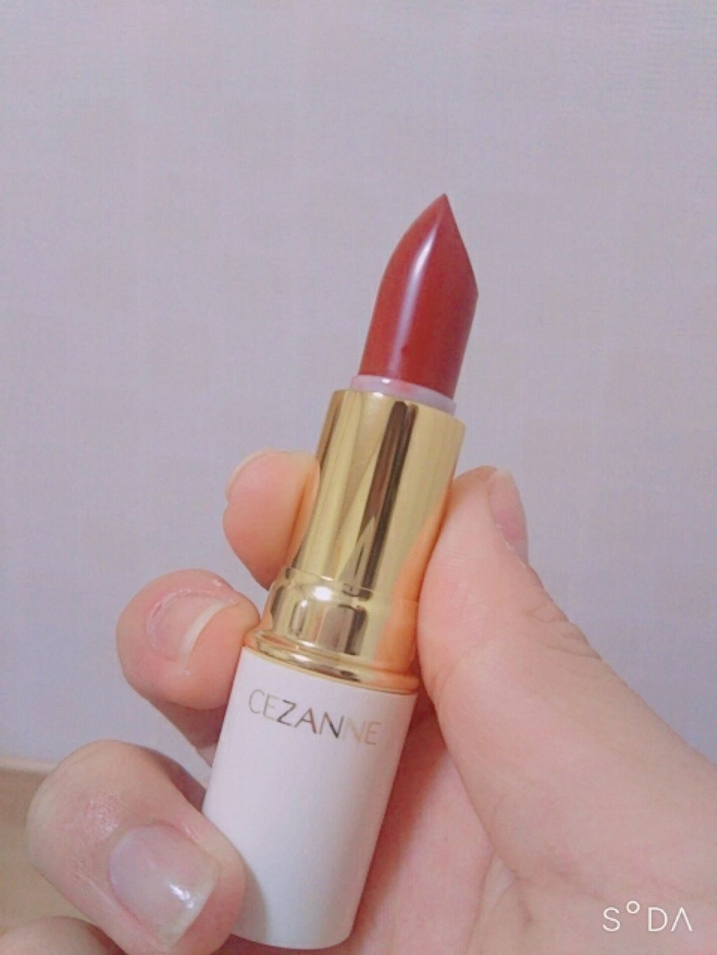 ラスティング リップカラーN/CEZANNE/口紅を使ったクチコミ（1枚目）