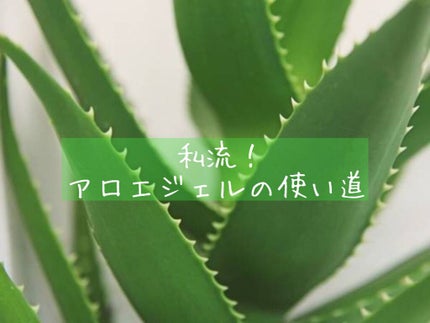 マイルド&モイスチャーアロエジェル/ネイチャーリパブリック/ボディローションを使ったクチコミ(1枚目)