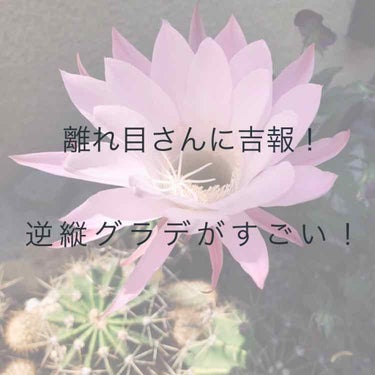 CLINIQUE オール アバウト シャドウ デュオのクチコミ「私は学生時代仲の良い友人に
「とかげ」というあだ名をつけられたほどの
離れ目です（笑）
しかも.....」（1枚目）