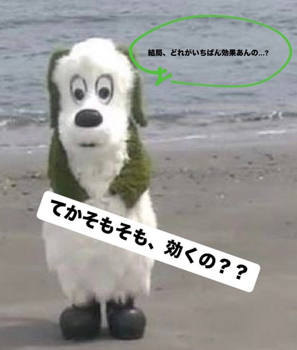 を使ったクチコミ(1枚目)