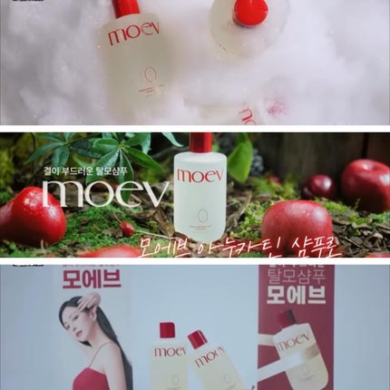 モエブ アヌカチン シャンプー/トリートメント/moev/市販シャンプーを使ったクチコミ(6枚目)