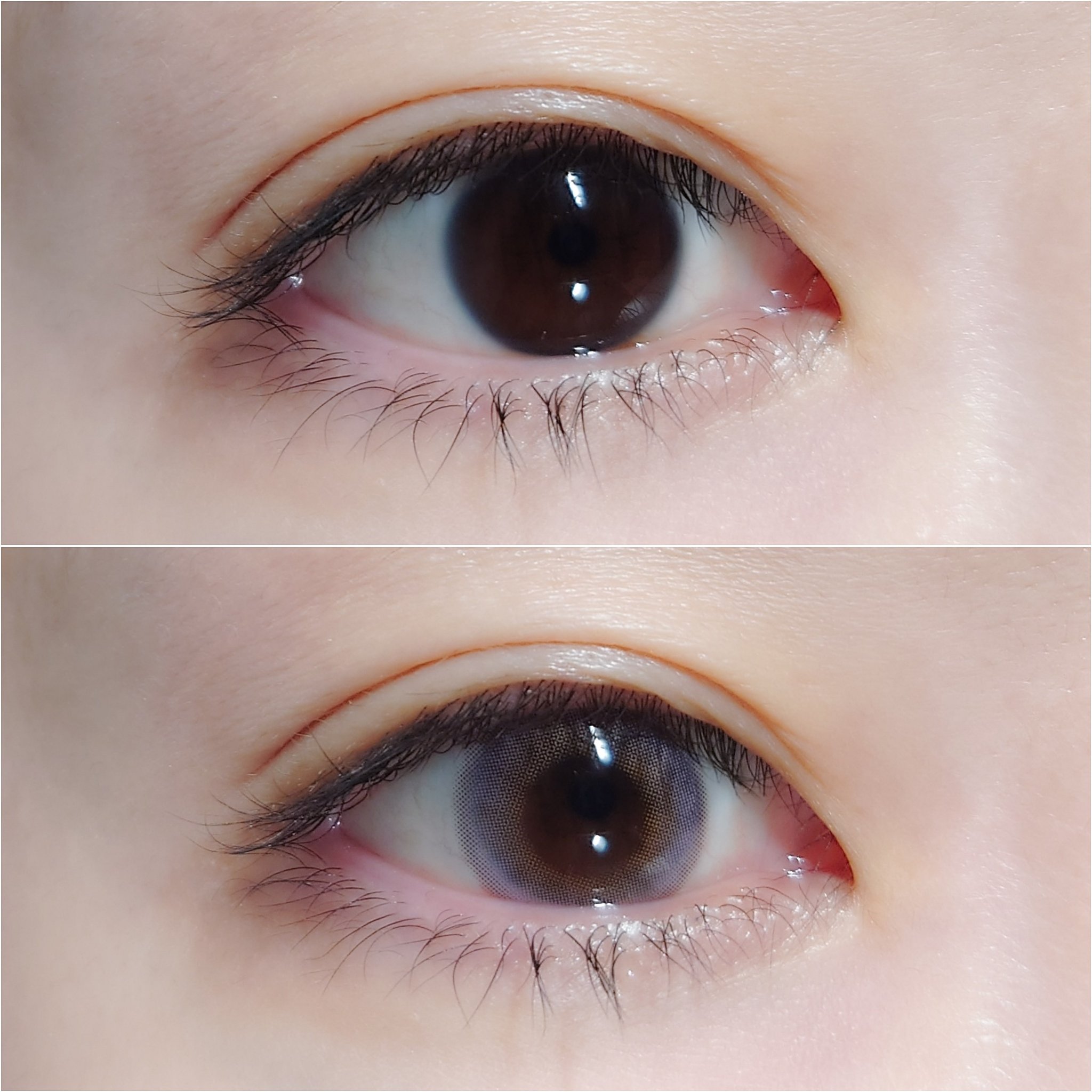 FrenchShine1day/OLENS/ワンデー（１DAY）カラコンを使ったクチコミ（2枚目）