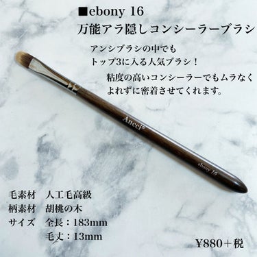 ANC 102S/Ancci brush/メイクブラシを使ったクチコミ（5枚目）