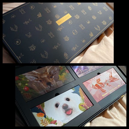 エクスプローラ12色 動物アイシャドウパレット/PERFECT DIARY/アイシャドウパレットを使ったクチコミ(1枚目)