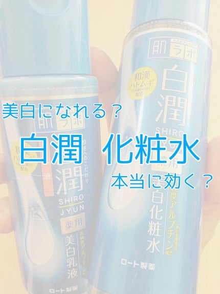 白潤 薬用美白化粧水/肌ラボ/化粧水を使ったクチコミ(1枚目)