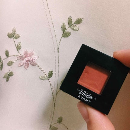 ヴィセ アヴァン シングルアイカラー/Visée/単色アイシャドウを使ったクチコミ(1枚目)