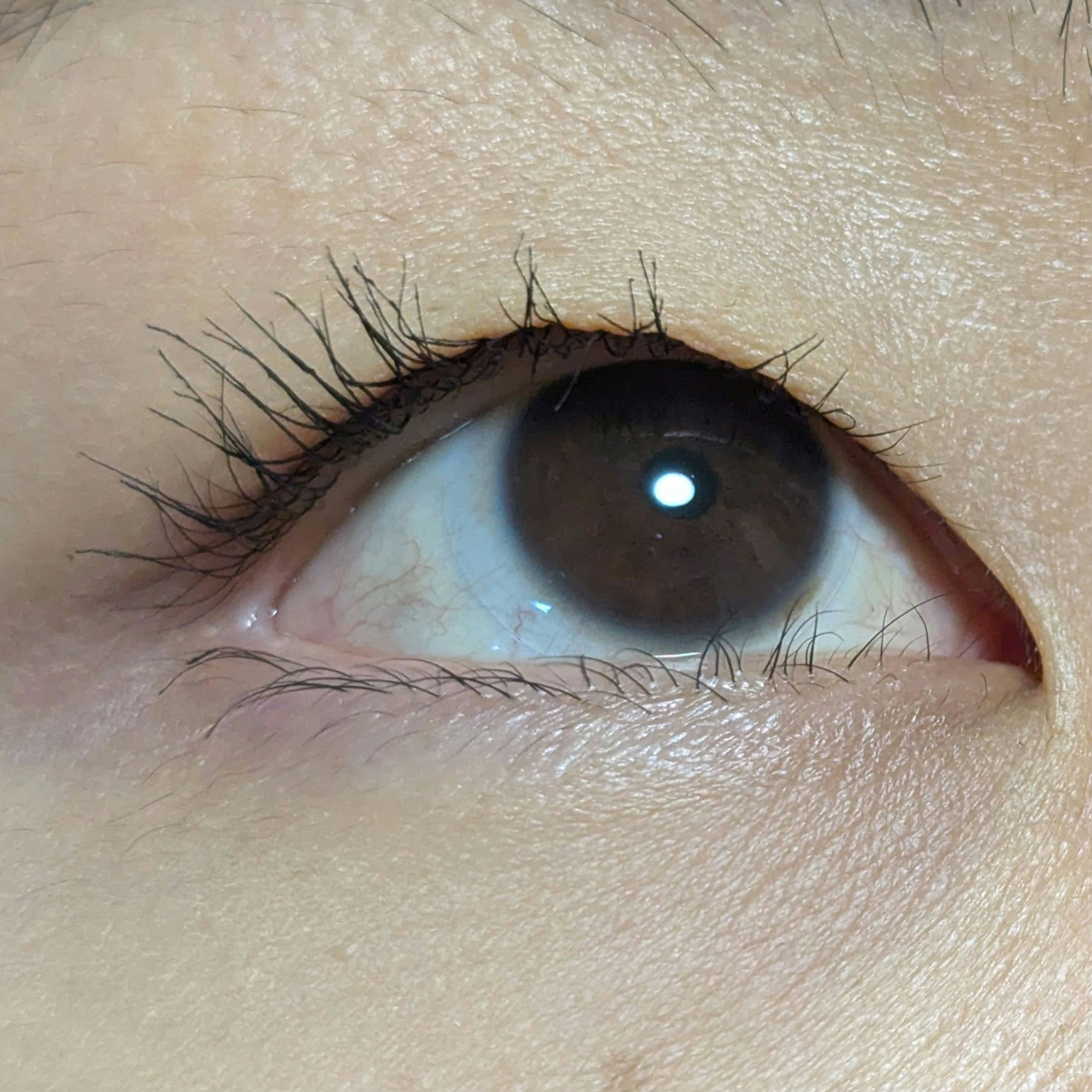 ムードアップマスカラ ロング&amp;カール/dasique/マスカラを使ったクチコミ（2枚目）