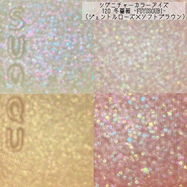 シグニチャー カラー アイズ 120 冬薔薇 -FUYUSOUBI/SUQQU/アイシャドウパレットを使ったクチコミ（3枚目）