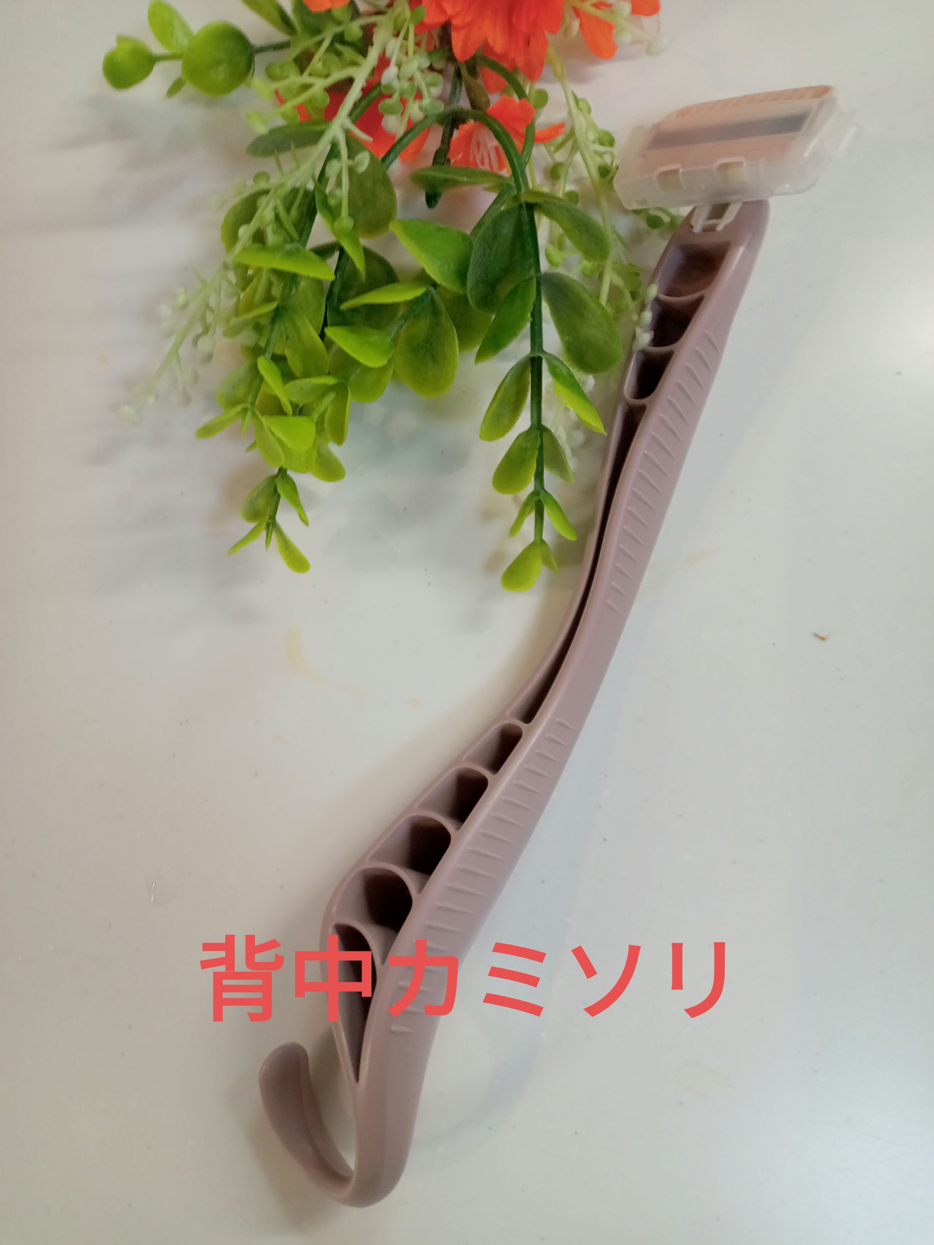 miness 背中用カミソリ/貝印/シェーバーを使ったクチコミ（1枚目）