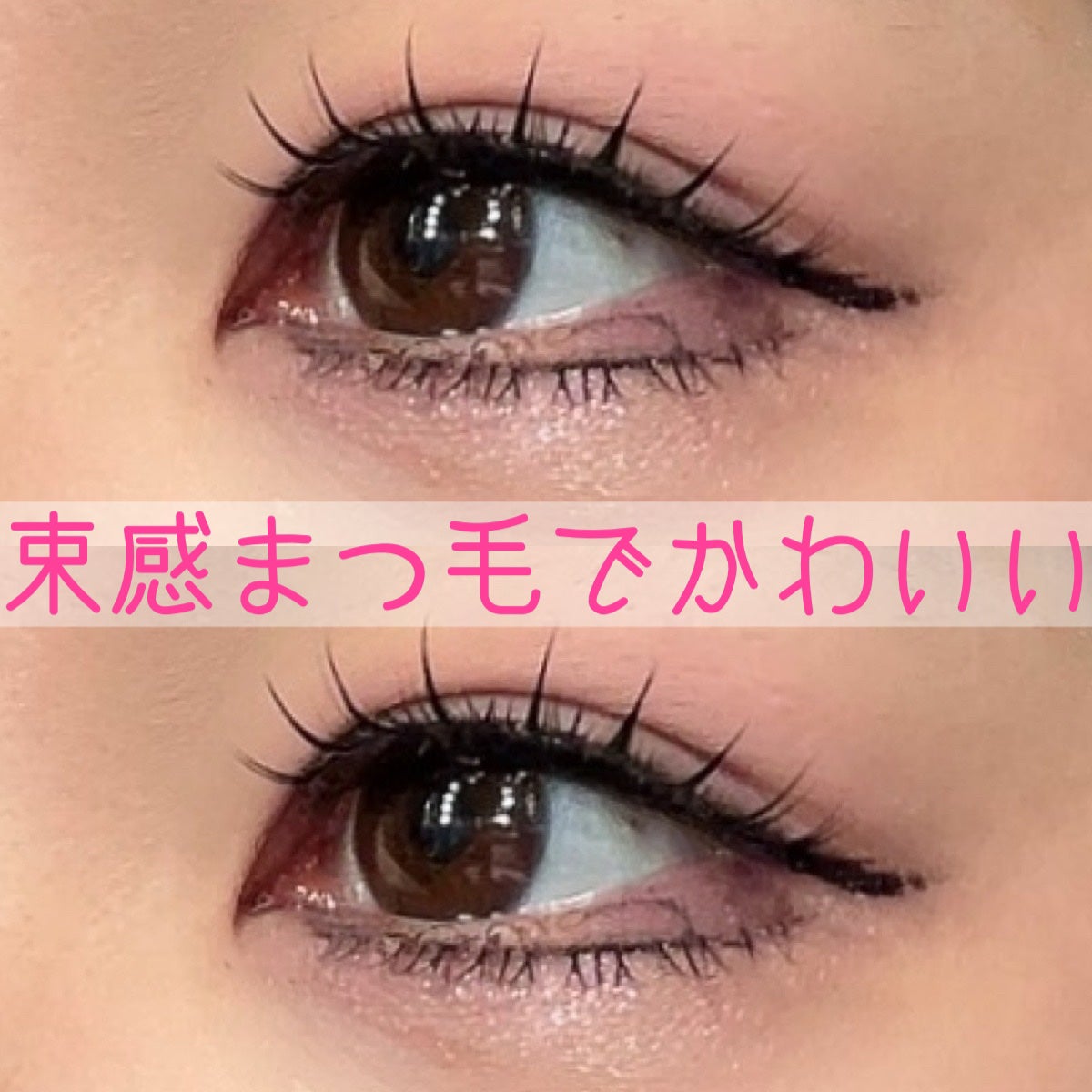 つけまつ毛/SHEIN/つけまつげを使ったクチコミ(2枚目)
