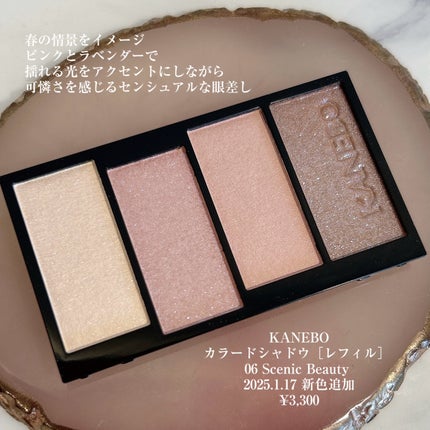 カラードシャドウ 06 Scenic Beauty / KANEBO(カネボウ) | LIPS カラードシャドウ 06 Scenic Beauty / KANEBO(カネボウ) | LIPS