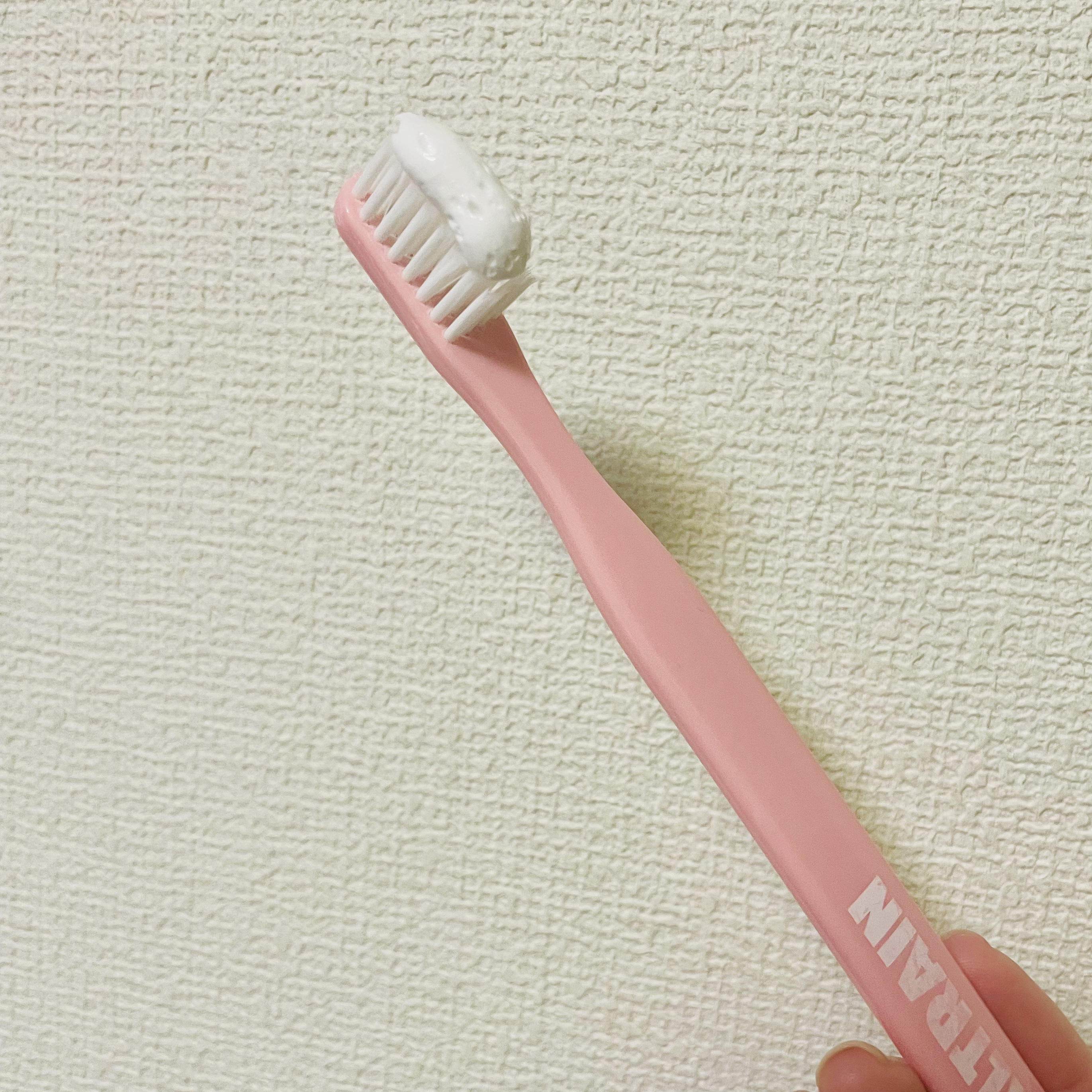 ROSE CITRON/SALTRAIN/歯磨き粉を使ったクチコミ（2枚目）