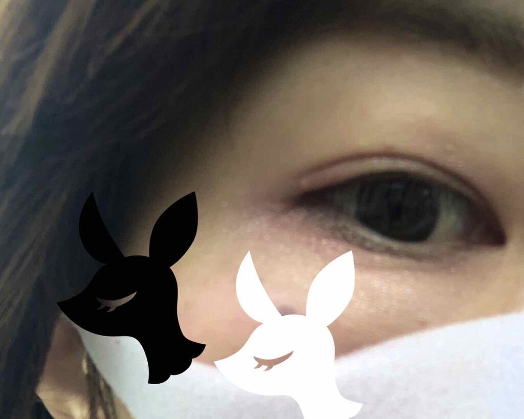 【旧】サンク クルール クチュール/Dior/アイシャドウパレットを使ったクチコミ（2枚目）