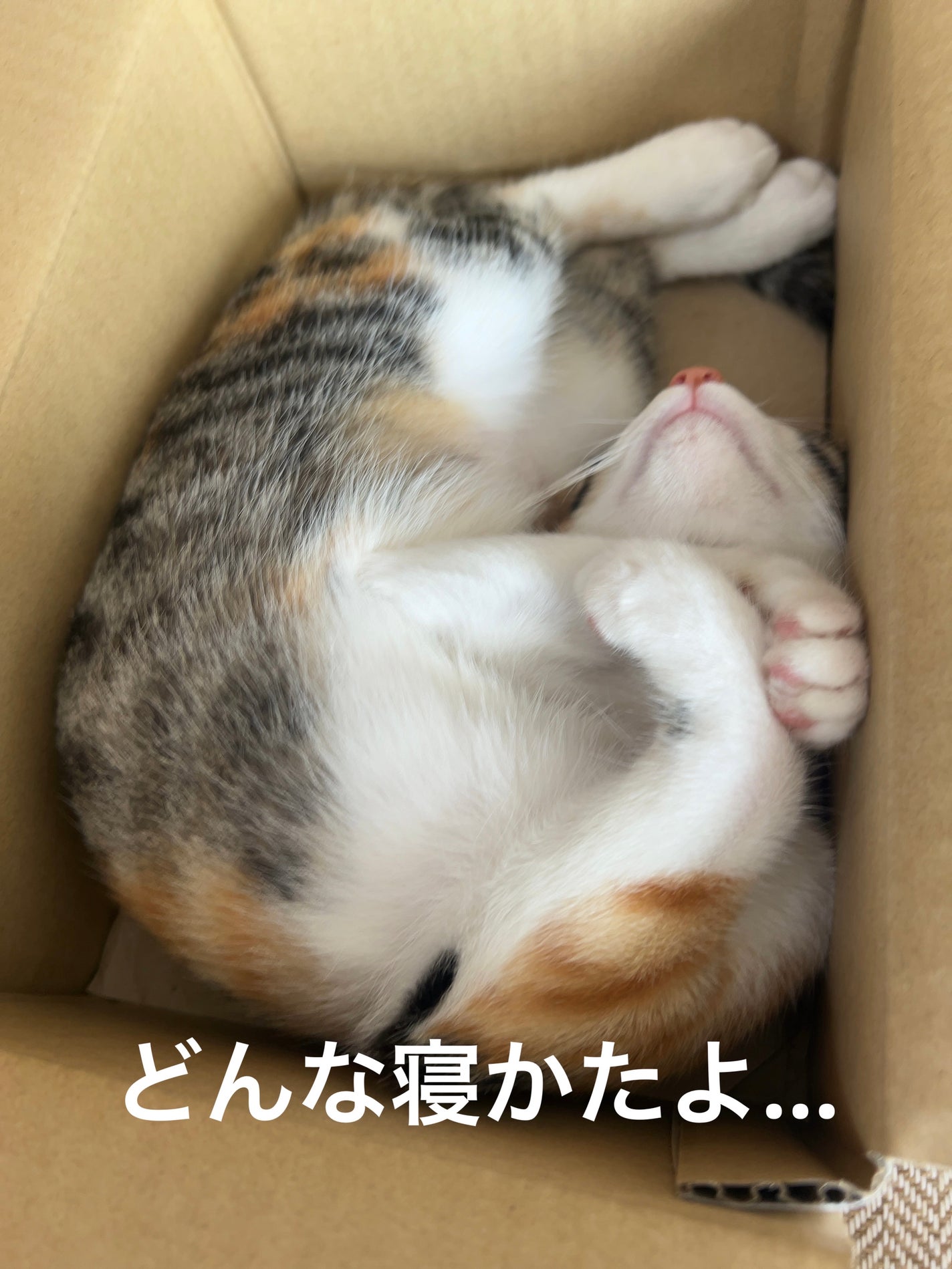 九州ルルルン(あまおうの香り)/ルルルン/シートマスク・パックを使ったクチコミ(3枚目)