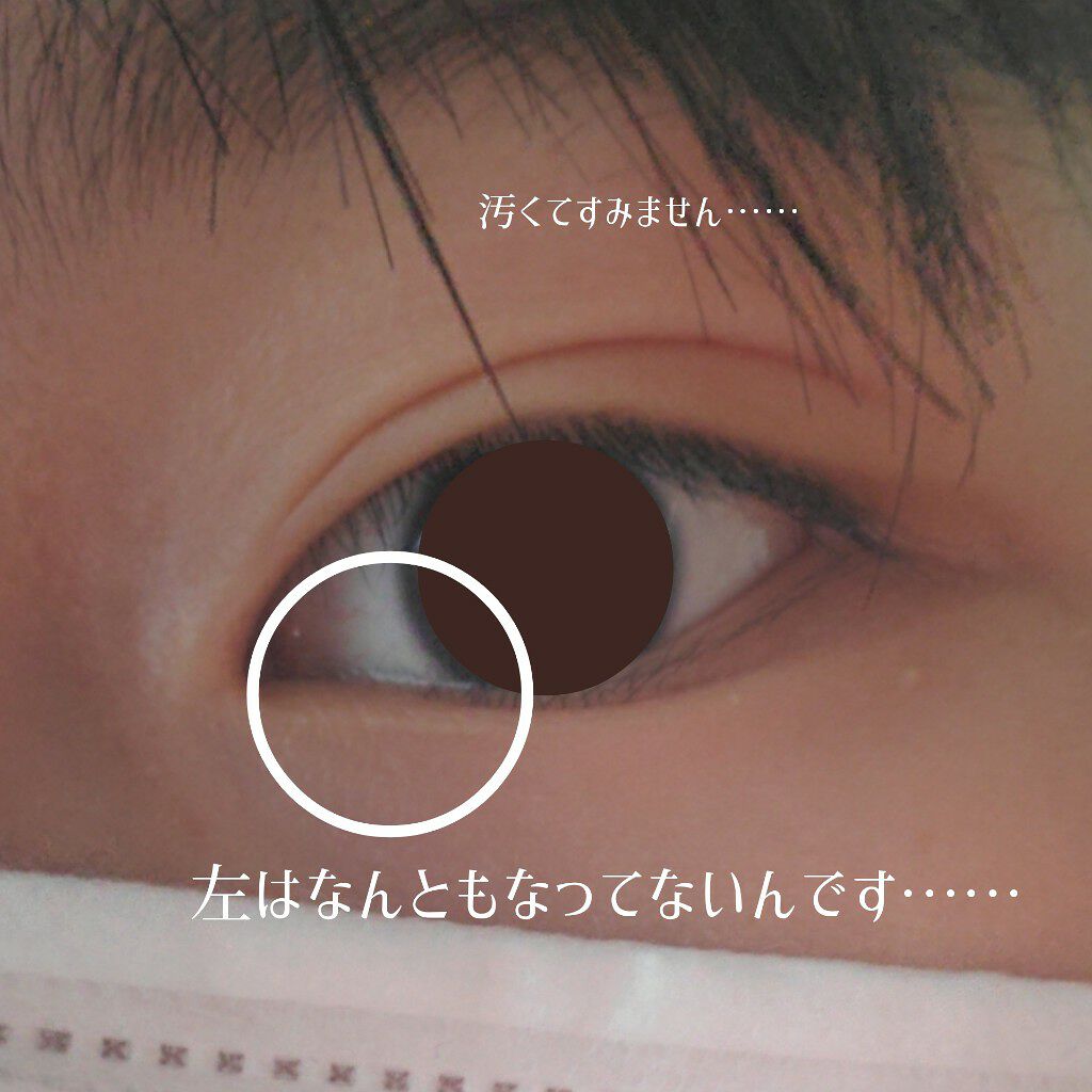 ラッシュジェリードロップ EX/MAJOLICA MAJORCA/まつげ美容液を使ったクチコミ(3枚目)