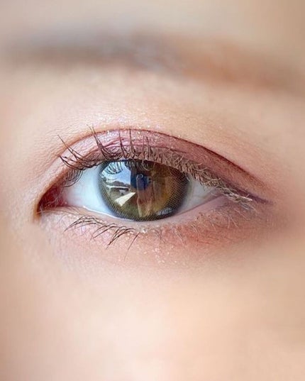 プロアイシャドウパレットセシル/CELEFIT/アイシャドウパレットを使ったクチコミ(7枚目)