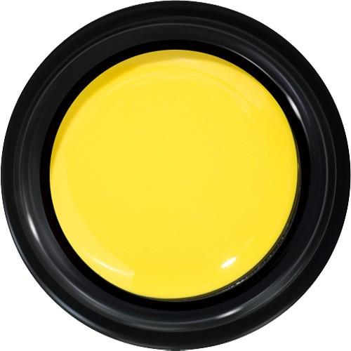 プリジェル カラーEX パイナップルボンバー