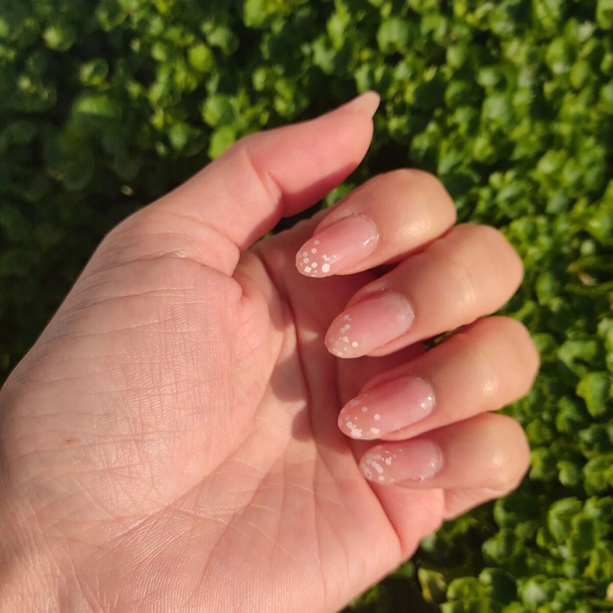 irogel/irogel(イロジェル)/ジェルネイルを使ったクチコミ(3枚目)