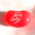 JellyBelly CottonCandy LipBalm by Lotta Luv
