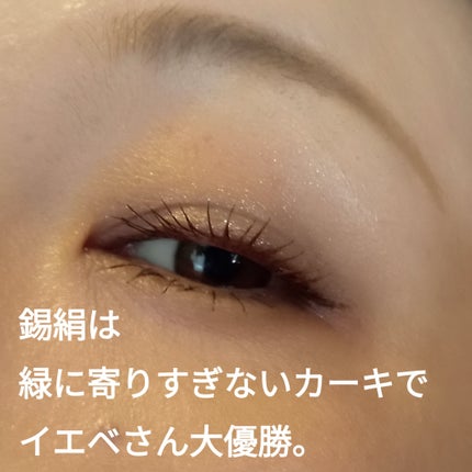 トーン タッチ アイズ/SUQQU/単色アイシャドウを使ったクチコミ(2枚目)