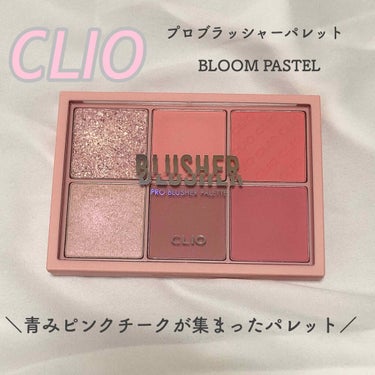 プロ ブラッシャー パレット/CLIO/パウダーチークを使ったクチコミ（1枚目）