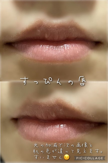 ザ ヘリテージ オール デイ リップケア/MERZY/リップバームを使ったクチコミ(2枚目)