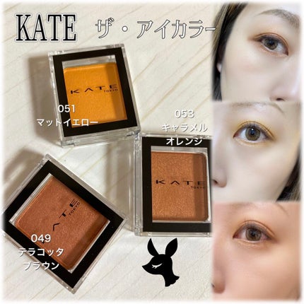 ケイト ザ アイカラー/KATE/単色アイシャドウを使ったクチコミ(1枚目)