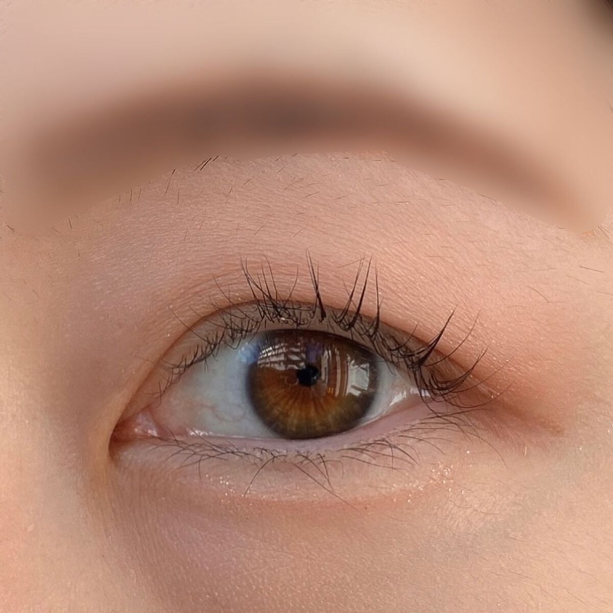 ストロベリーロココ アイシャドウパレット/FlowerKnows/アイシャドウパレットを使ったクチコミ(5枚目)