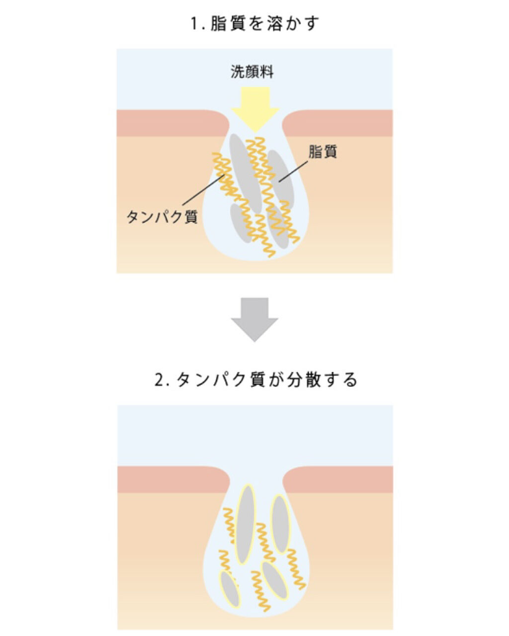スムージングジェルウォッシュ/LUNASOL/その他洗顔料を使ったクチコミ（3枚目）