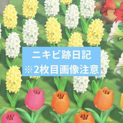 キールズ ハーバル トナー CL アルコールフリー/Kiehl's/化粧水を使ったクチコミ(1枚目)