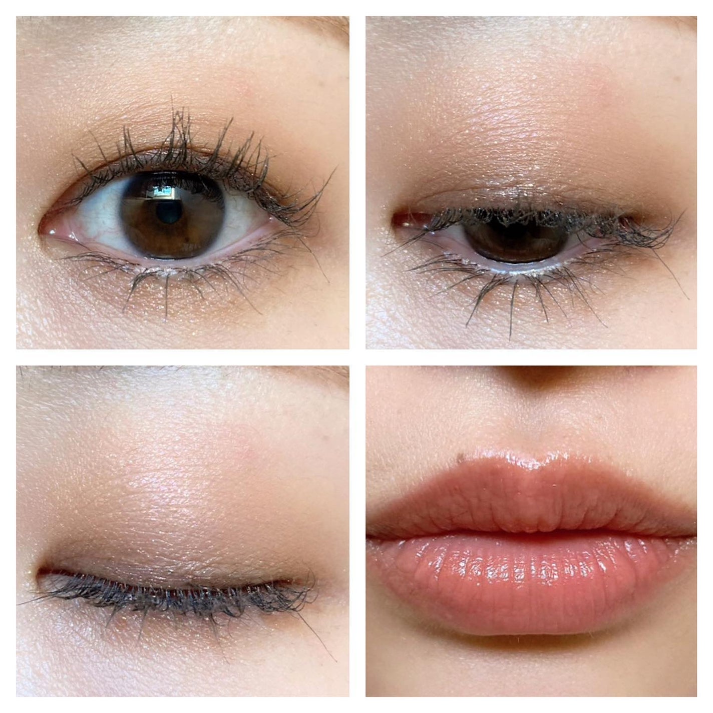 アイカラーレーション/LUNASOL/アイシャドウパレットを使ったクチコミ(6枚目)