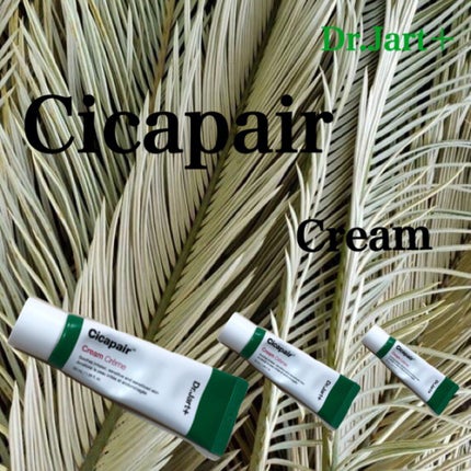 ドクタージャルト シカペア クリーム (第2世代)/Dr.Jart+/フェイスクリームを使ったクチコミ(1枚目)