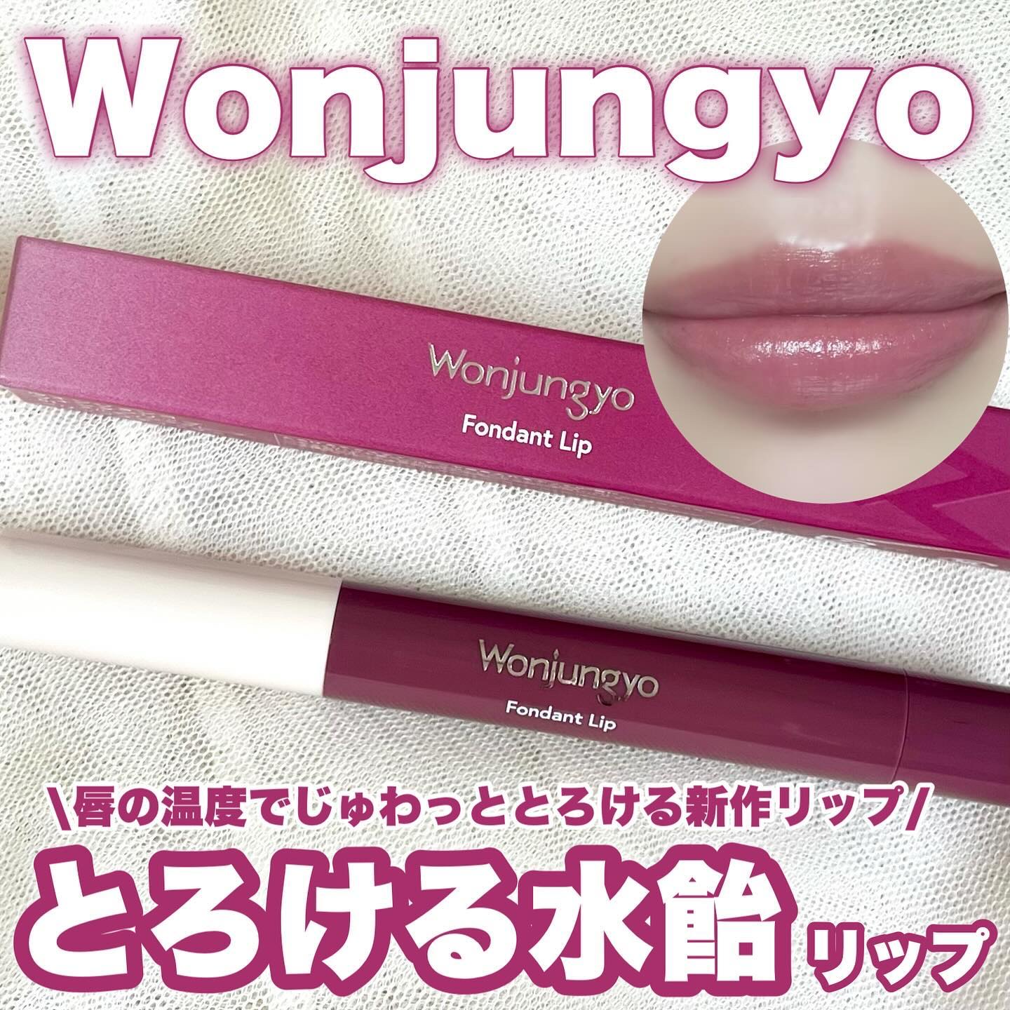 ウォンジョンヨ フォンダンリップ/Wonjungyo/口紅を使ったクチコミ（1枚目）